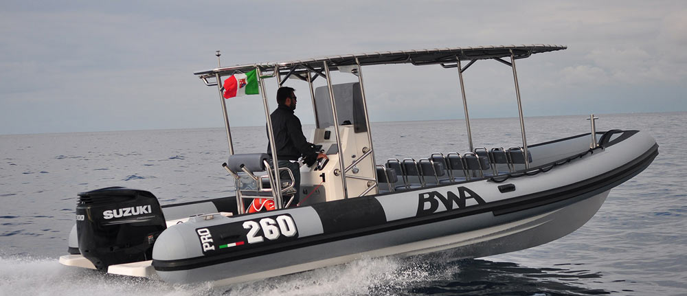 Semi-Rigide-Bwa-Professional-Super-Pro-261-Marseille-2