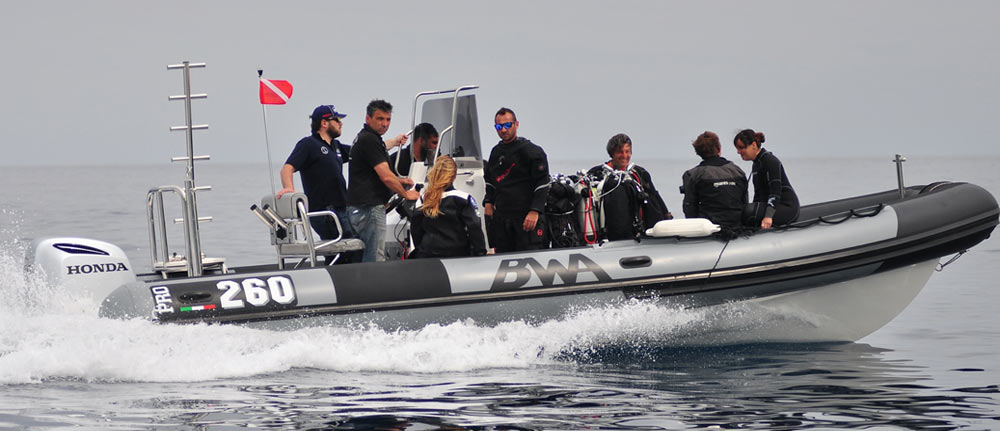 Semi-Rigide-Bwa-Professional-Super-Pro-261-Marseille-5