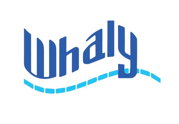 Whaly-boat-marseille